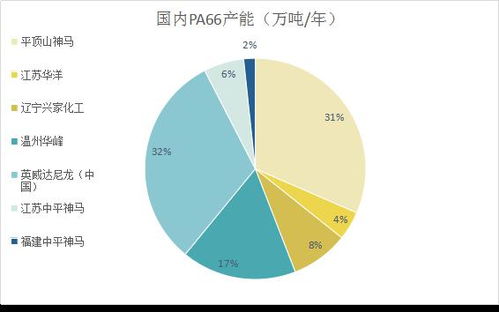 2025年PA66材料市场深度调查报告